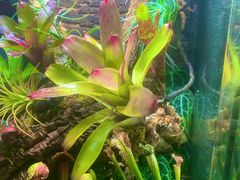 -Rabbit Cafe私房西餐甜点咖啡(栖霞路店)