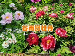 -太阳宫公园