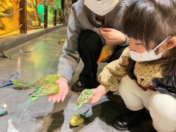 -酷嗒动物文化乐园(cutezoo西溪乐天城店)