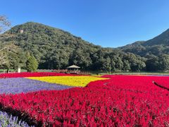 -广州市石门国家森林公园
