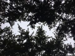 iphone_upload_pic-仁和公园(顺义区)
