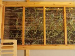 -吟松日式料理(莘庄店)