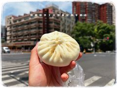 -和善园手工大包子(常德路店)