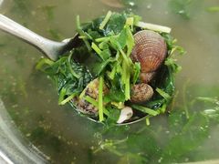 雷公根螺汤-翡翠老鸭店