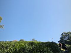 -十里琅珰