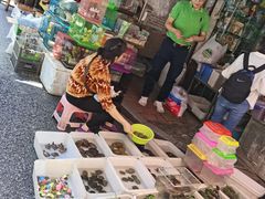 -清平路水族市场