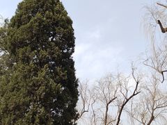 -颐和园