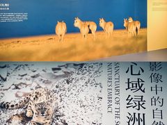 -中国湿地博物馆