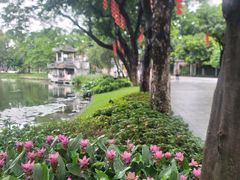 -荔湾湖公园