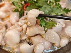 -大鼎石锅鱼(春江里店)
