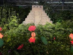 -南宫五洲植物乐园