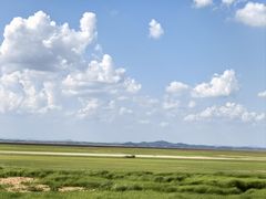 -鄱阳湖国家湿地公园