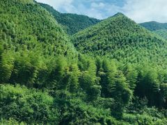 -莫干山风景区