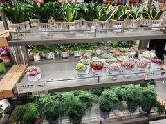-鹿岛生活(熙地港店)