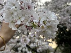 -杭州少年儿童公园