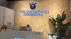 -三只熊皮肤管理中心