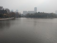 -楚秀园
