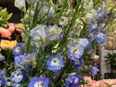 -良友花店(天目山路店)