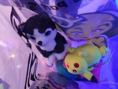 -风云再起游乐汇(北京西单西西友谊店)