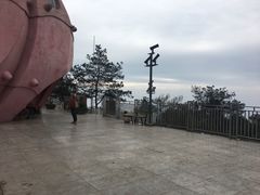 -大金鹰园