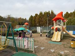 -廊坊固安福朋喜来登酒店