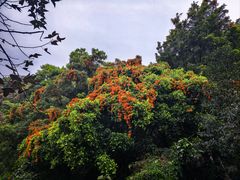 -求水山公园