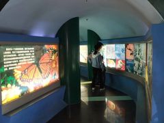 -上海昆虫博物馆