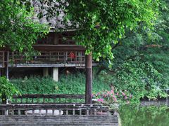 -老木棉·匠园