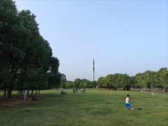 -艾溪湖湿地公园