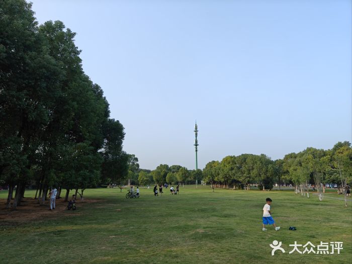 艾溪湖湿地公园图片