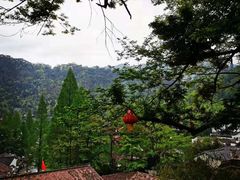 -九华山风景区