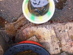 -野水沟小商品批发市场