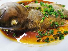 -巽寮印象美食部落餐厅·海鲜·地方特色菜(惠州体验店)