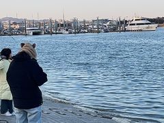 -巧克力渔家.小船海鲜胶东菜(万平口店)