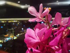 -小放牛炒菜馆(裕华万达店)