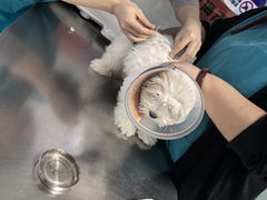 -王允海动物医院(中央大街店)