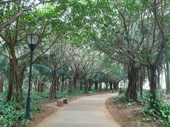 -白沙门生态公园