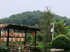 -麓湖湾·土菜院子(梅溪湖店)