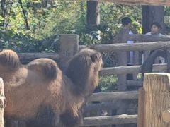 -昆明动物园