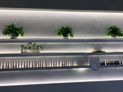 -MONICA BOX美甲美睫