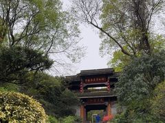 -中国茶叶博物馆(双峰馆区)
