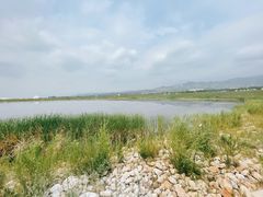 -敕勒川草原文化旅游区