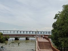 -宝安西湾红树林湿地公园