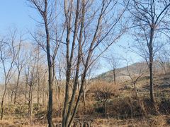 -雪山彩虹谷景区