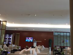 -郑州新郑国际机场T2航站楼-贵宾厅B区