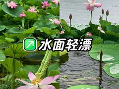 -澹台湖公园