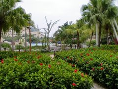 CIMG0265-三亚亚龙湾凯莱仙人掌度假酒店