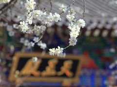 -护国法轮寺