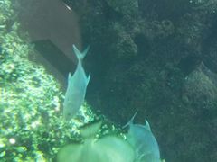 -鸿通城购物中心