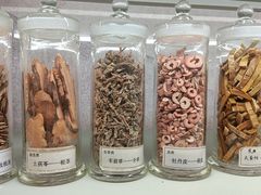 -北京中医药大学-中医药博物馆